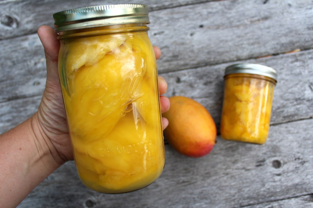 mango exotic food dr martha castro noriega mexico