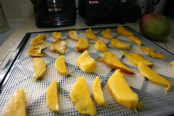 mango exotic food dr martha castro noriega mexico