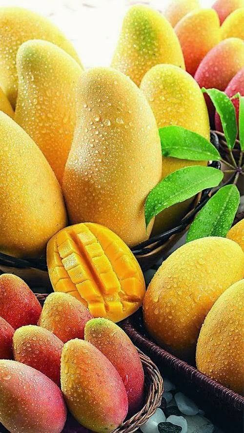 mango exotic food dr martha castro noriega mexico