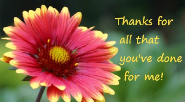 thanks gratitude sunday dr martha castro noriega mexico