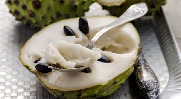 tropical exotic fruit cherimoya dr martha castro noriega mexico