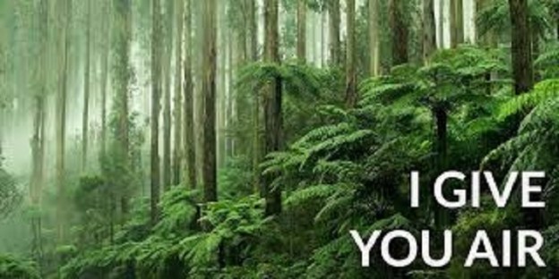 motivation inspiration grateful dr martha castro noriega mexico