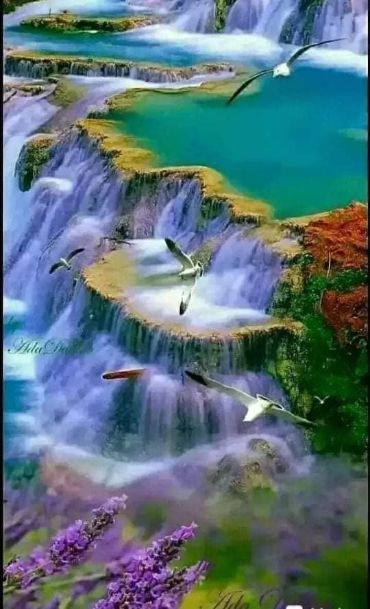 nature trees earth dr martha castro noirega mexico