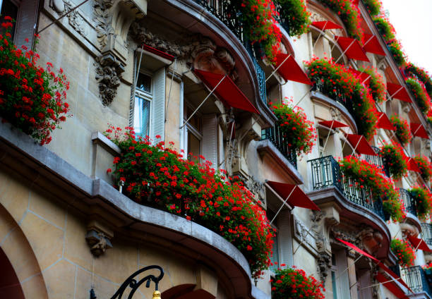 inspiration nature flowers balconies france spain germany mexico dr martha castro tijuana