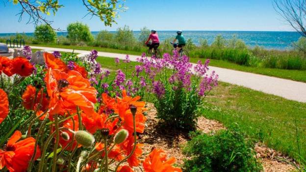flowers nature cycling motorcycles dr martha castro noriega mexico