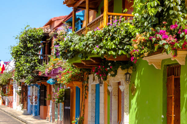 inspiration nature flowers balconies france spain germany mexico dr martha castro tijuana