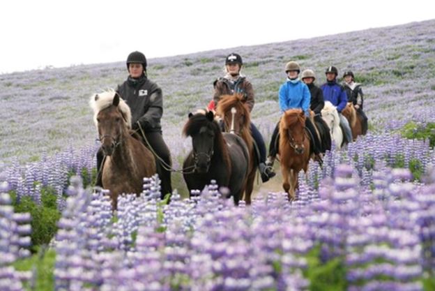 flowers nature cycling motorcycles dr martha castro noriega mexico