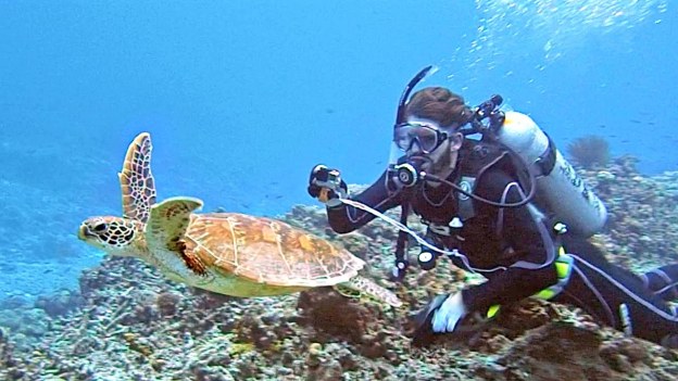 sea japan scuba diving sports nature dr martha castro noriega mexxico