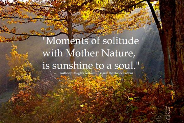 nature mother earth soul dr martha castro noriega mexico tijuana america california