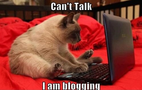 blogging things i hate ranting friday humor dr martha castro noriega mexico california los angeles america