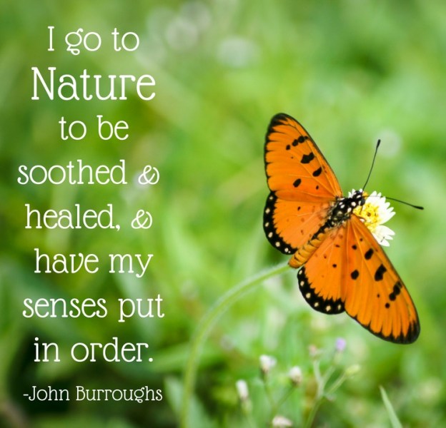 mother nature soul of earth dr martha castro mexico california america