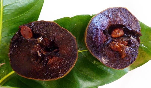 fruit nature food to eat and enjoy dr martha castro mexico
