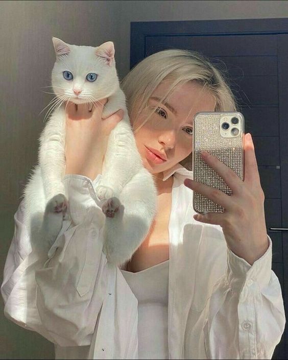 cats kitties loving selfies dr martha castro noriega mexico tijuana california america europe
