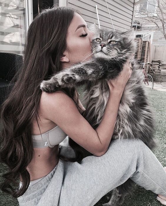 cats kitties loving selfies dr martha castro noriega mexico tijuana california america europe