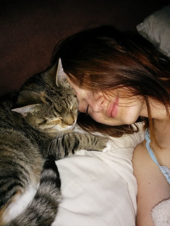 cats kitties loving selfies dr martha castro noriega mexico tijuana california america europe