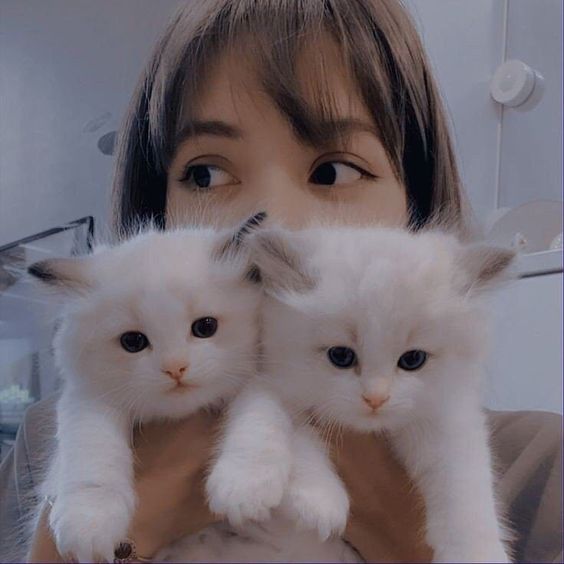 cats kitties loving selfies dr martha castro noriega mexico tijuana california america europe