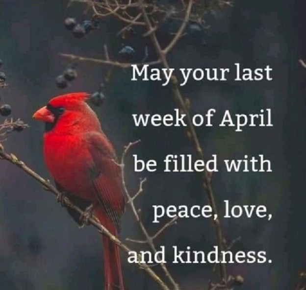 motivation inspiration April 2021 quotes images dr martha castro noriega mexico california america