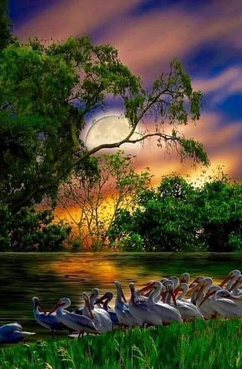 mother nature fantastic earth dr martha castro noriega mexico california los angeles america