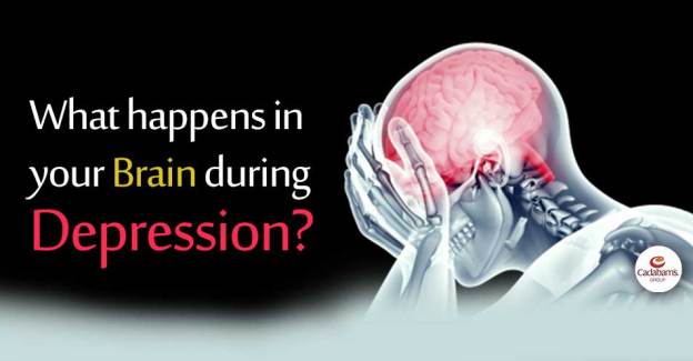 depression mental health brain dra martha castro noriega mexico tijuana