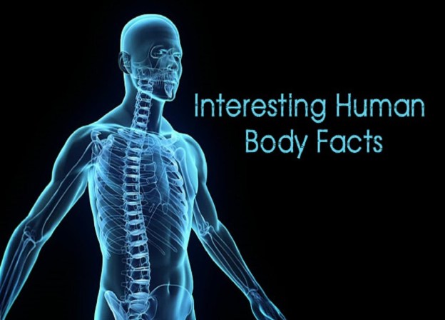 interesting facts inspiration education dra martha castro noriega mexico
