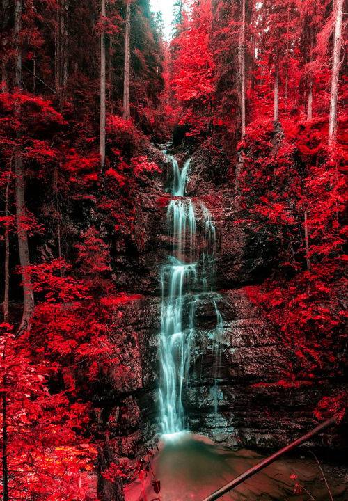 travel inspiration motivation mother earth austria dra martha castro noriega mexico tijuana california united states