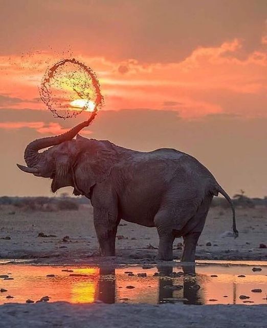 nature africa travel photography motivation inspiration dra martha castro noriega tijuana mexico california usa