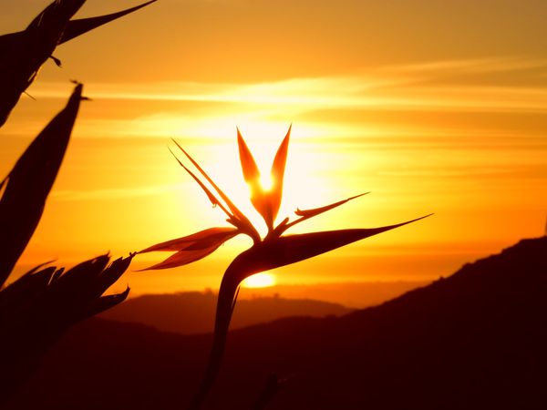 san diego california usa inspiration motivation sunset beautiful dra martha andrea castro noriega tijuana mexico 