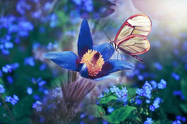 spring inspiration motivation dra martha castro noriega tijuana mexico