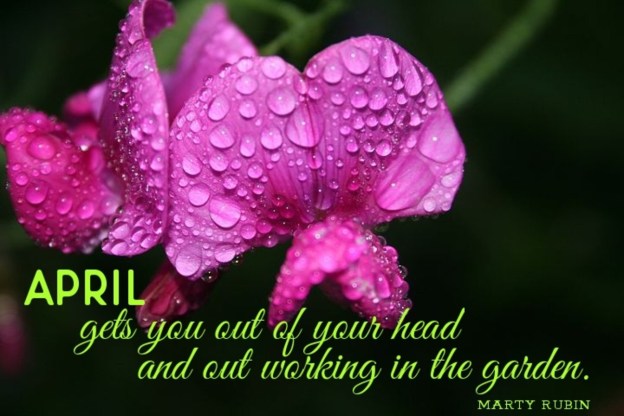 april month beautiful hello inspiration motivation dra martha a castro noriega tijuana mexico california