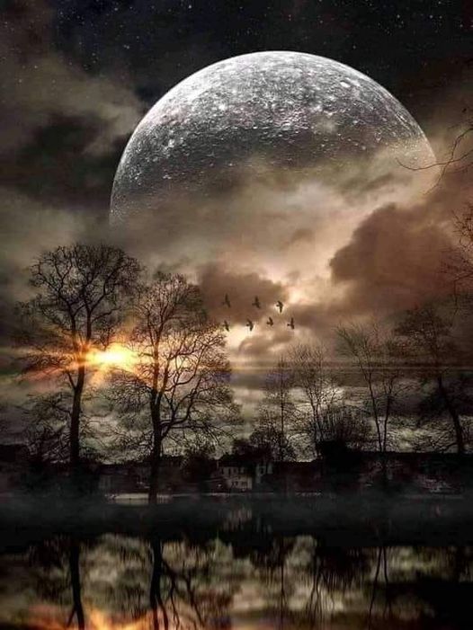 good-night-facebook-dra-martha-castro-noriega-tijuana