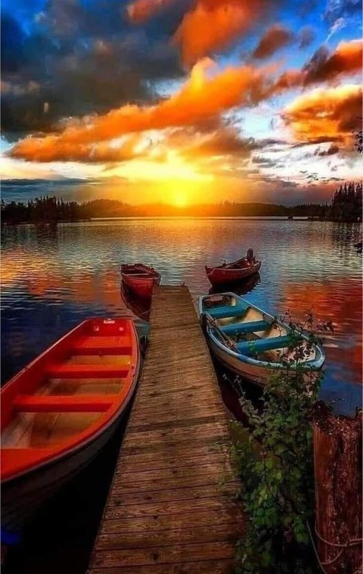 nature sunset inspiration dra martha castro noriega tijuana mexico california usa