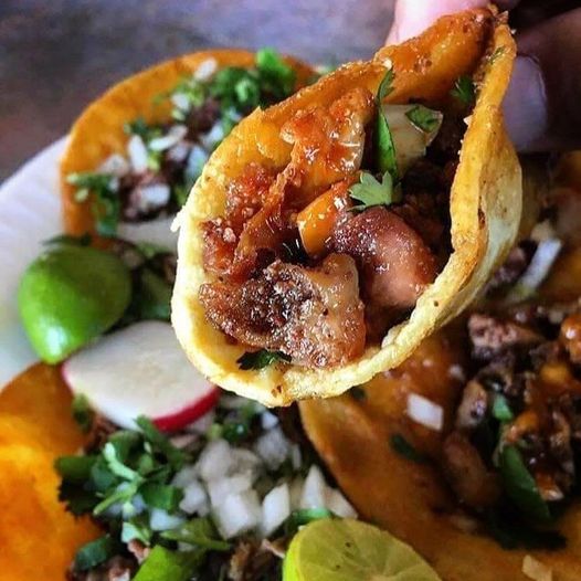 tacos food cooking eating dra martha castro nroiega tijuana mexico