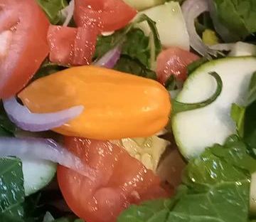 food comida healthy salad eating cooking dra martha castro noriega tijuana
