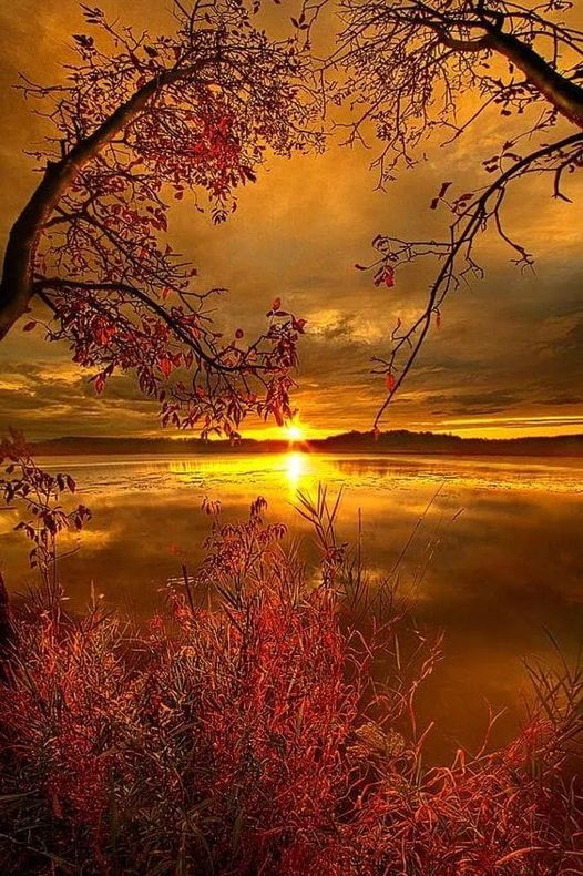 sunsets breathtaking poems and art by dra martha andrea castro noriega tijuana mexico california
