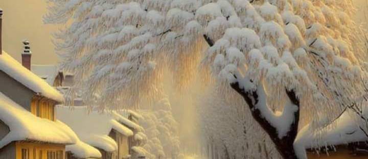 winter beautiful breathtaking photo image and photography with dra martha castro noriega tijuana mexico