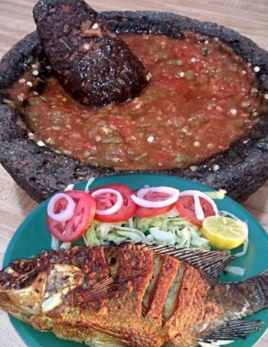 Food delicious cooking for eating family home breakfast lunch or dinner dra martha andrea castro noriega tijuana mexico